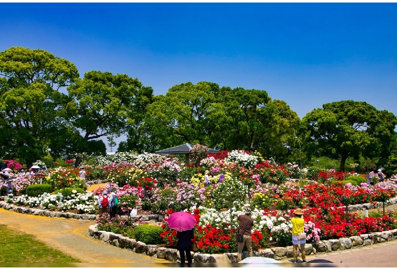 駕与丁公園