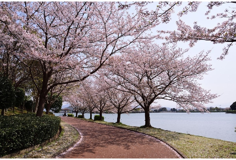 駕与丁公園