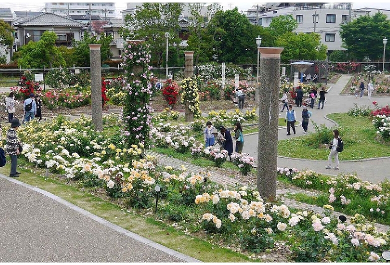 若園公園