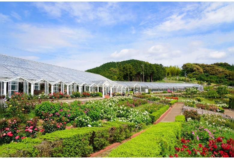 島田市ばらの丘公園