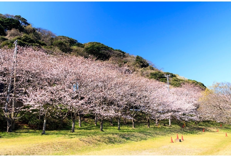 ヴェルニー公園