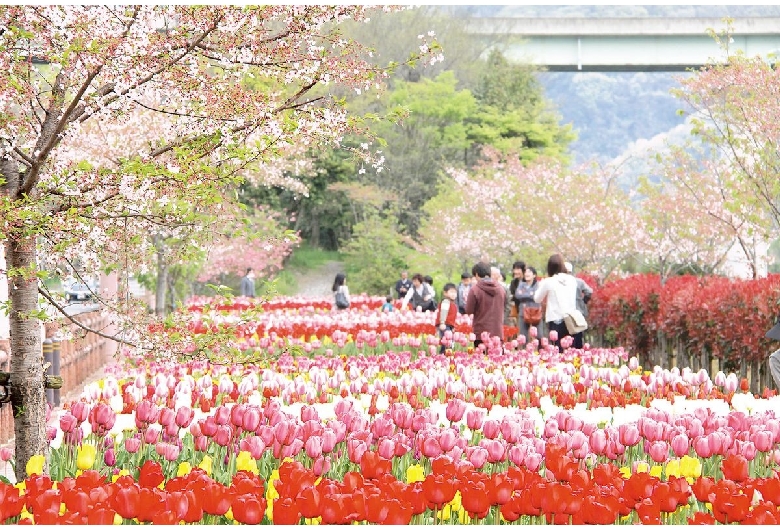 デ・レイケ公園