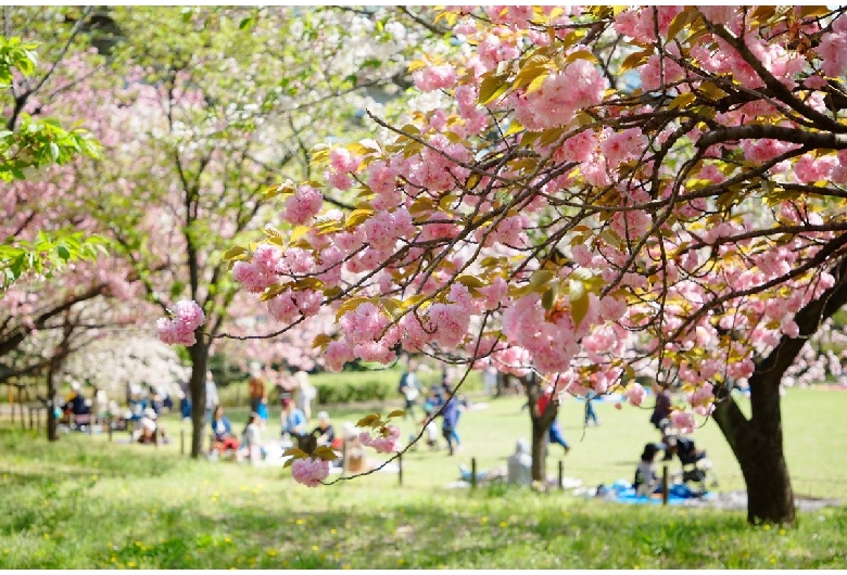 都市農業公園