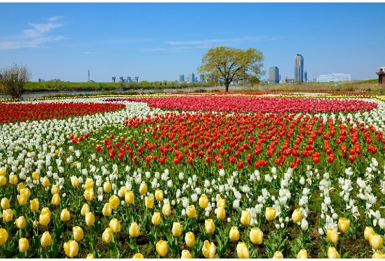 都市農業公園