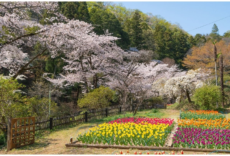 吾妻公園