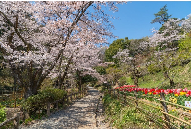 吾妻公園