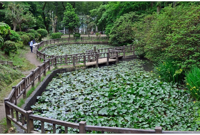 吾妻公園