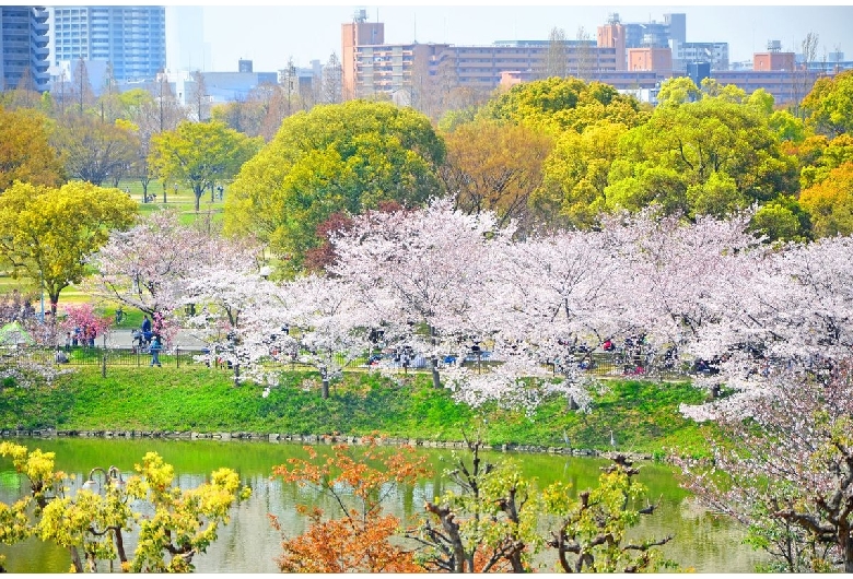 花博記念公園（鶴見緑地）