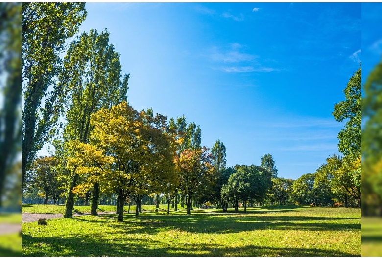 花博記念公園（鶴見緑地）