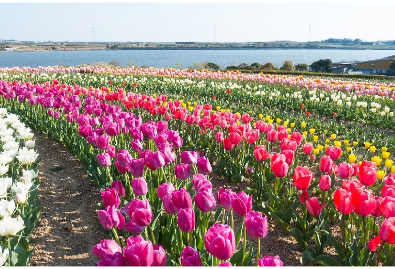 芦ヶ池農業公園「サンテパルクたはら」