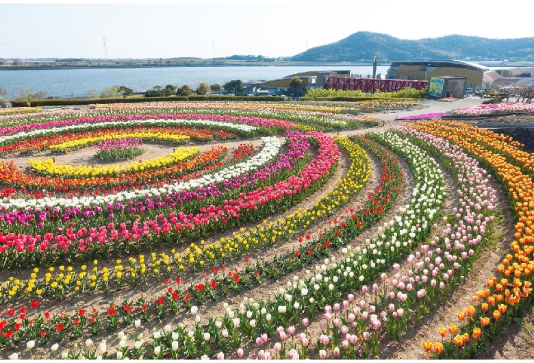 芦ヶ池農業公園「サンテパルクたはら」