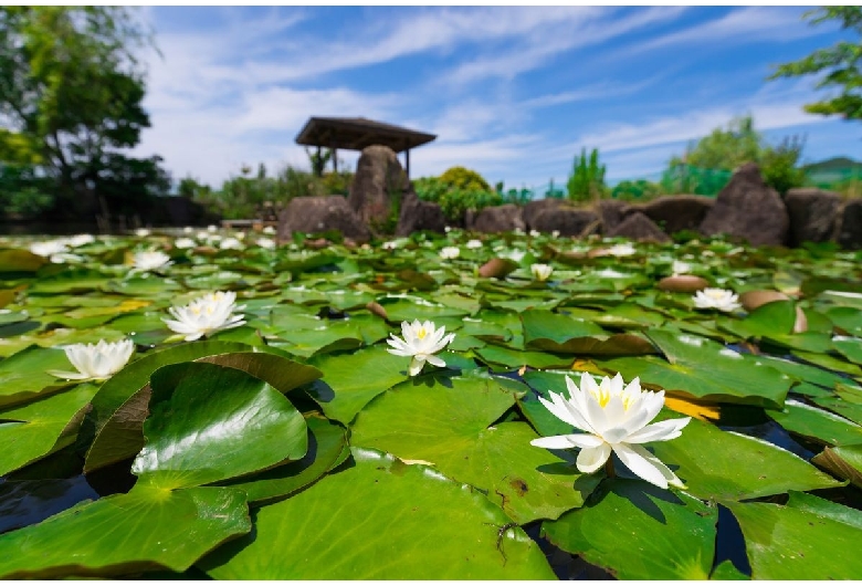 芦ヶ池農業公園「サンテパルクたはら」