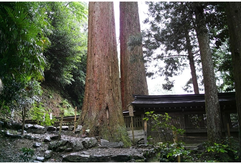 丹生川上神社（中社）