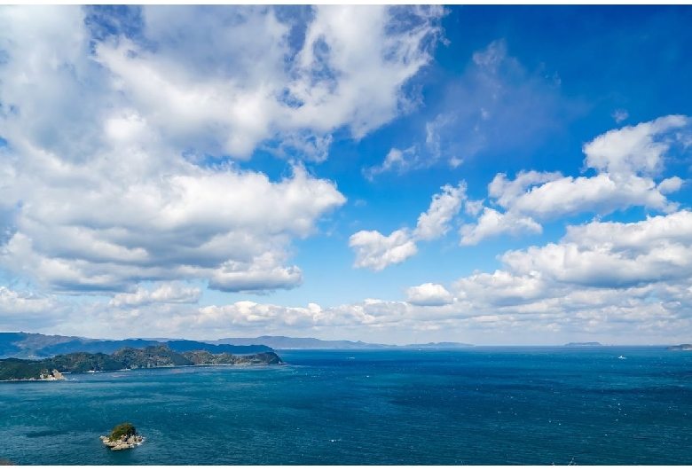 四浦半島の河津桜