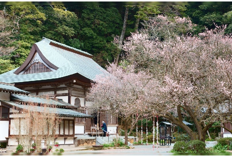 鎮国寺