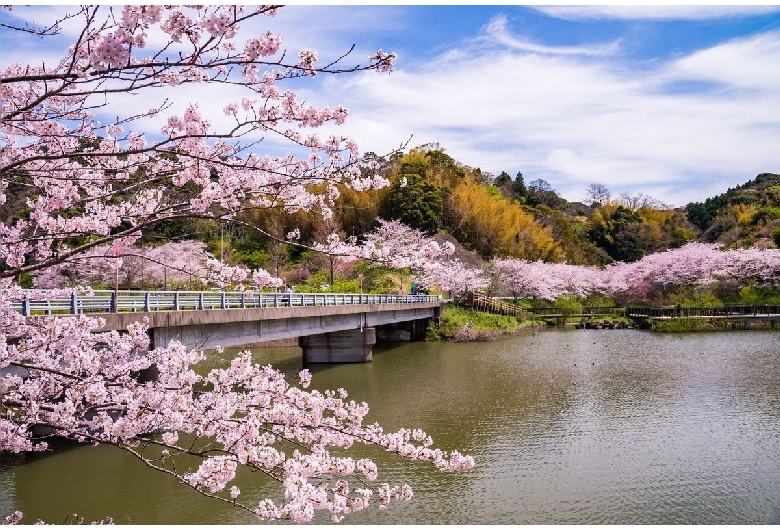 佐久間ダム湖親水公園