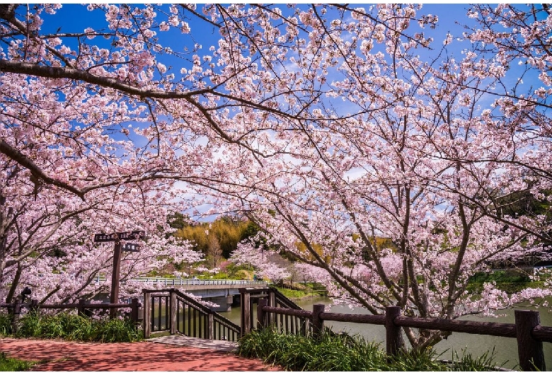 佐久間ダム湖親水公園