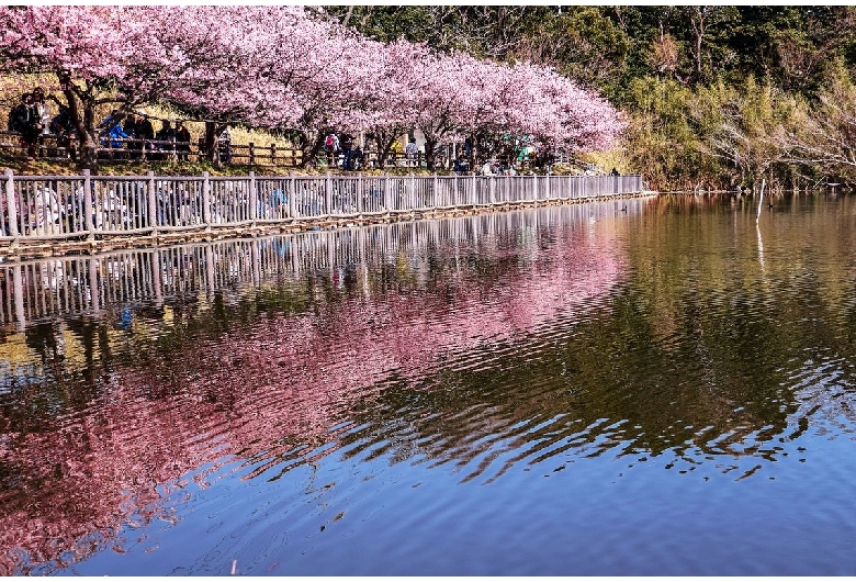 小松ケ池公園