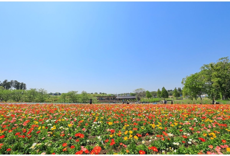 富田さとにわ耕園（千葉市富田都市農業交流センター）