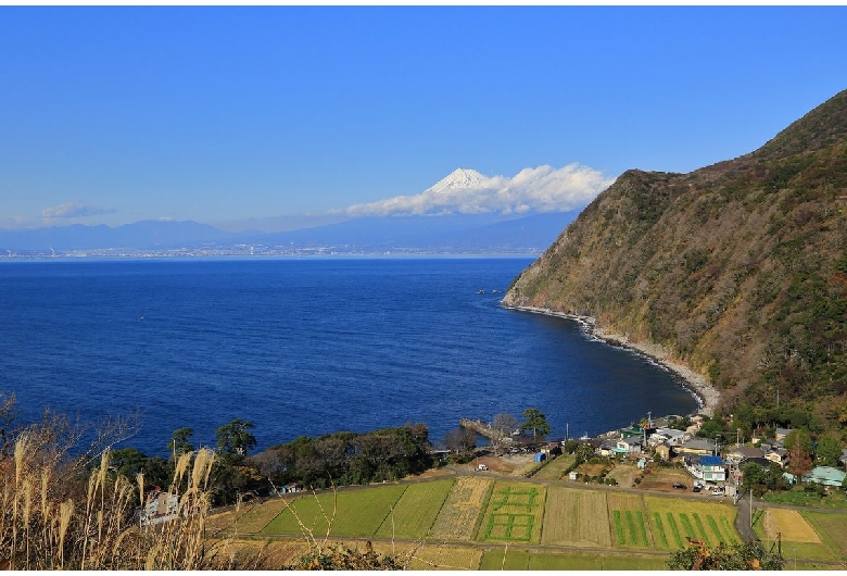 井田海水浴場