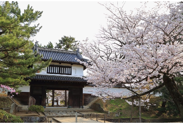 亀城公園（土浦城址）