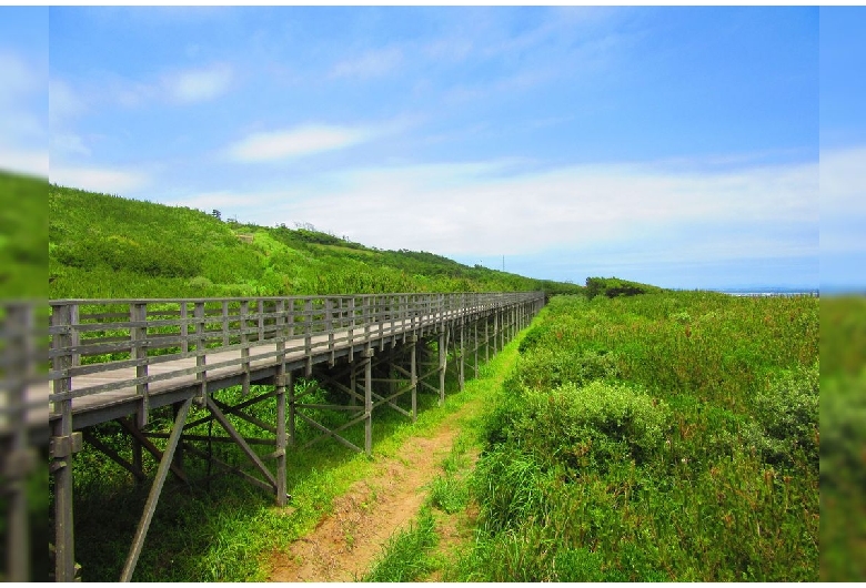 鹿島灘海浜公園