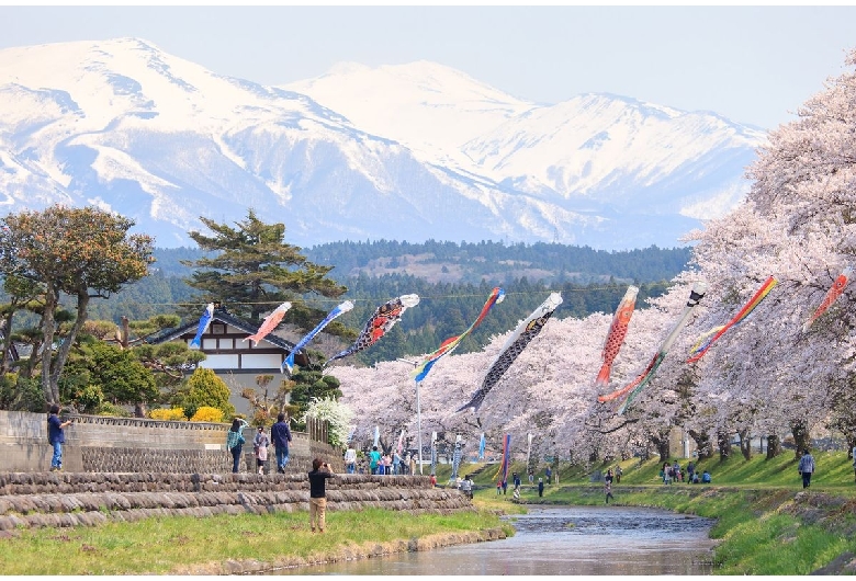 洗沢川の桜並木