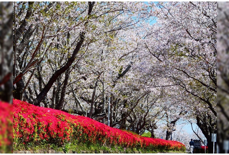 天ヶ城公園