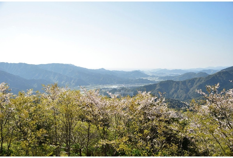 花立公園