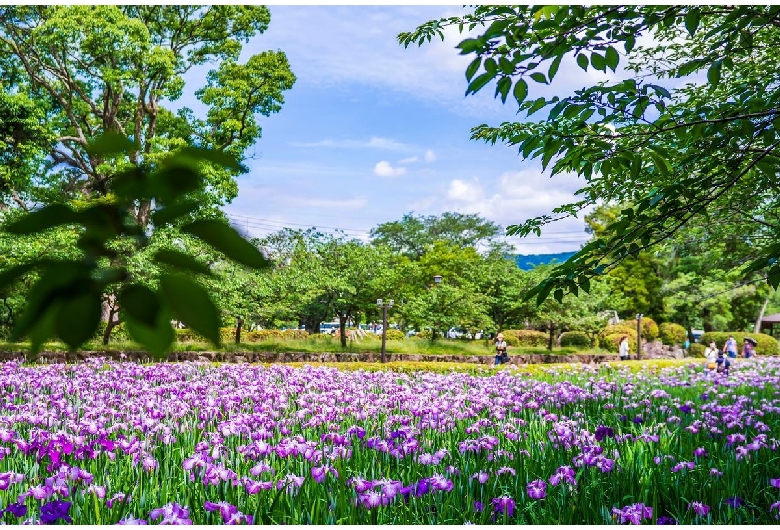 玖島城（大村公園）