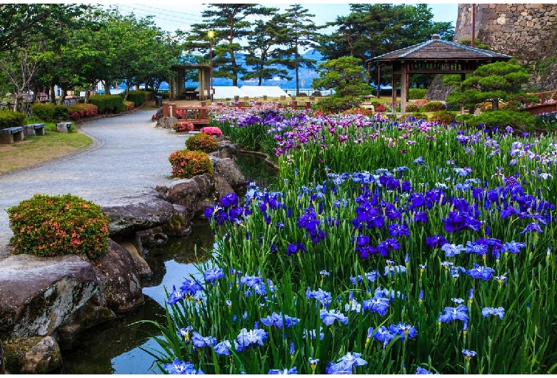 玖島城（大村公園）