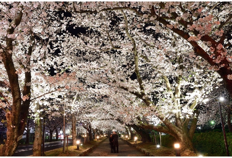 玖島城（大村公園）