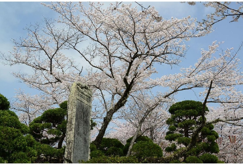 西部公園