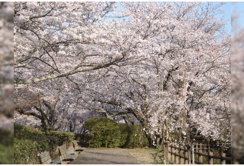 西部公園