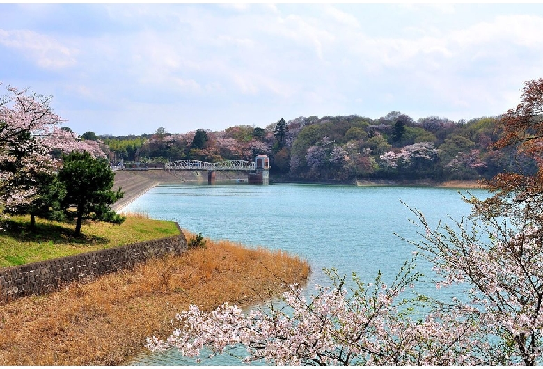 多摩湖（村山貯水池）