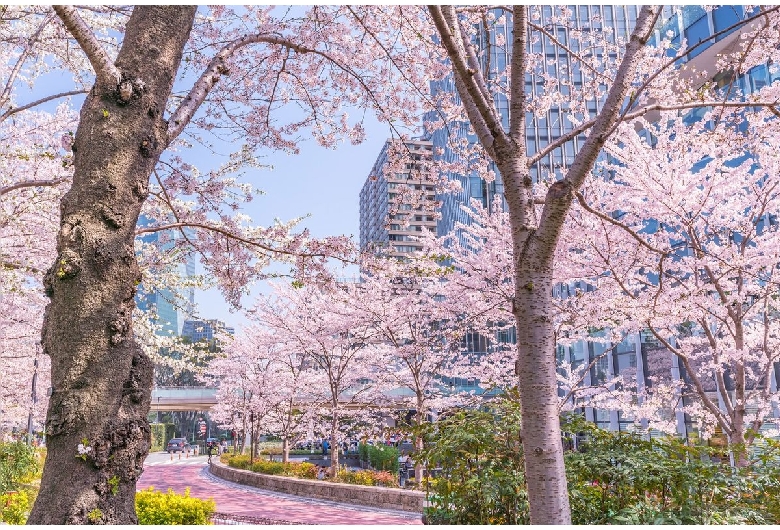 東京ミッドタウン