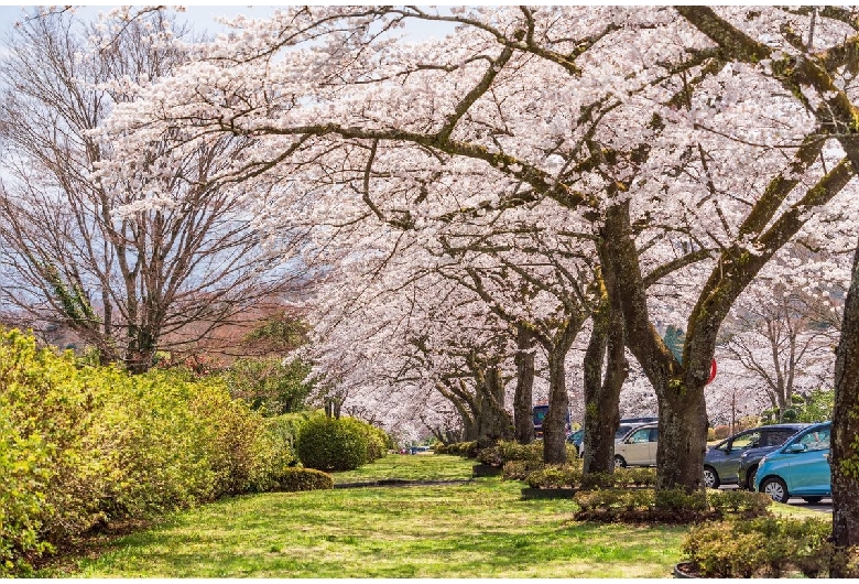 冨士霊園