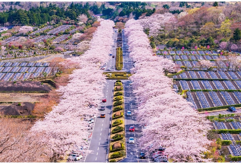 冨士霊園