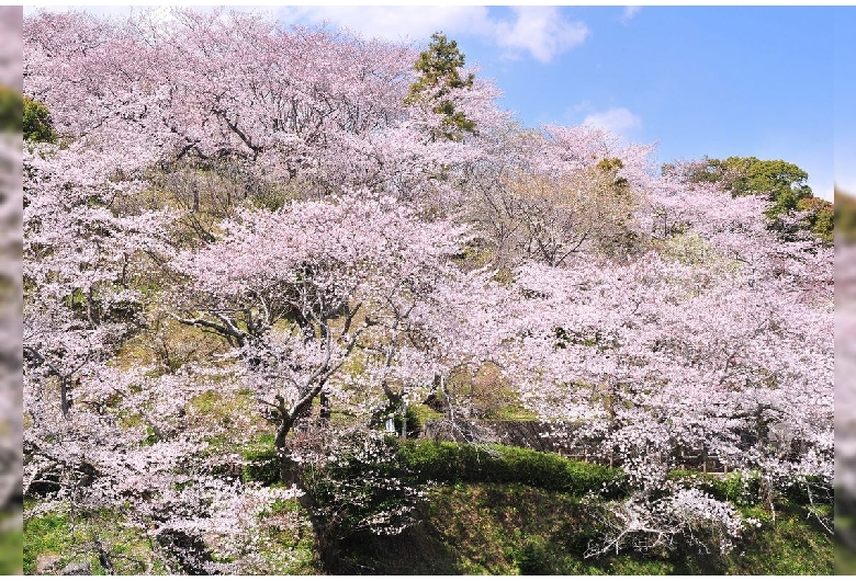 清水船越堤公園