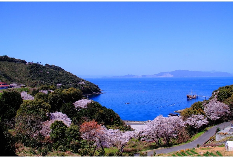 湯の児チェリーライン