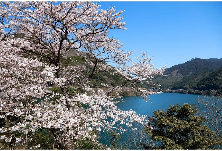 市房ダム湖