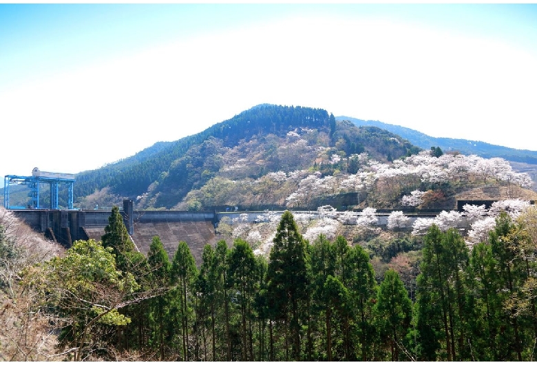 市房ダム湖