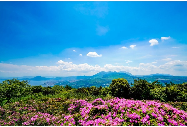 城山公園