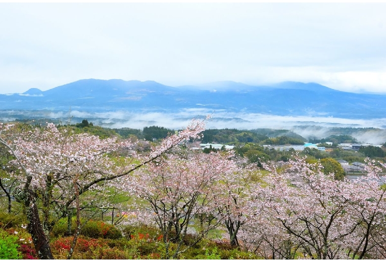 丸岡公園