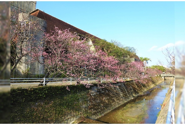 与儀公園