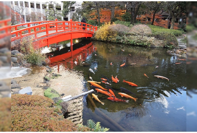 ホテルニューオータニ日本庭園