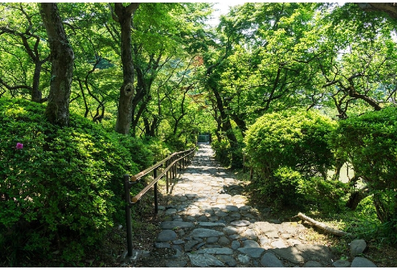 京王百草園