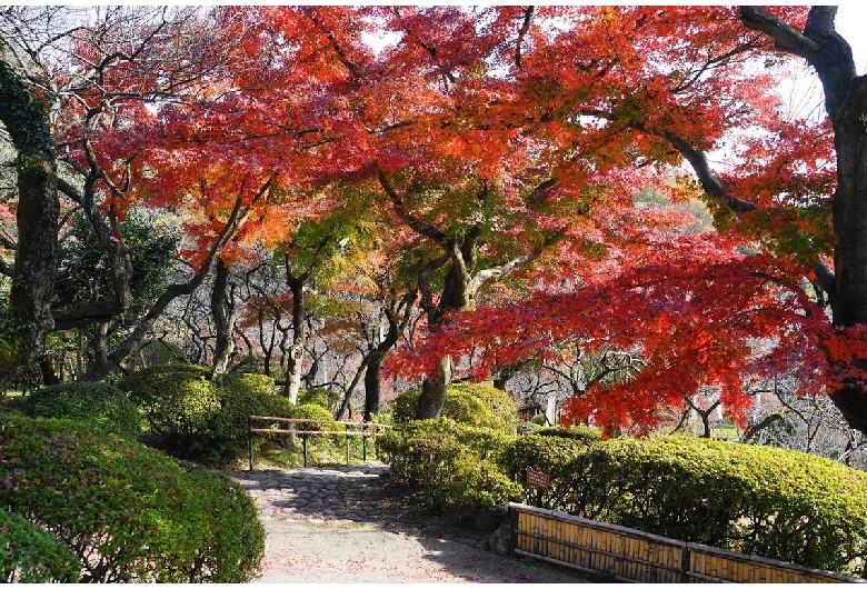 京王百草園