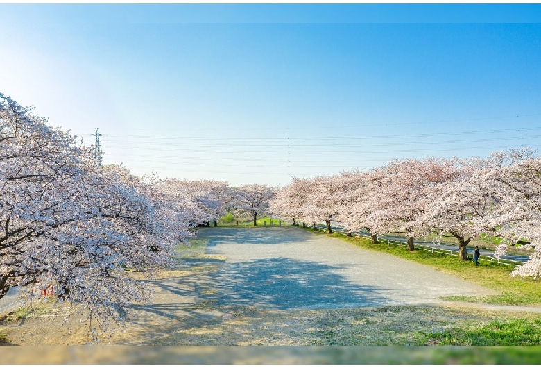 大宮第二公園