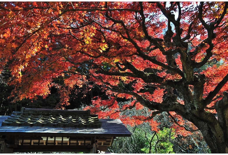 東慶寺